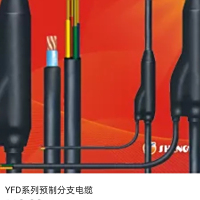 矿物质电缆 预分支电缆